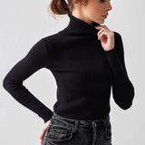 Slim Fit Knit Turtleneck Sweater