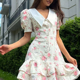 Lapel Short Sleeve Mini Floral Dress