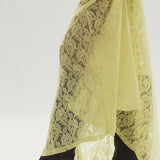 Chic Sheer Embroidered Lace Maxi Skirt