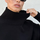 Colorblock Turtleneck Knit Sweater