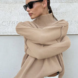 Colorblock Turtleneck Knit Sweater