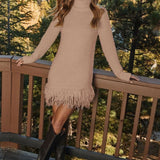 Loose Fit Fringe Turtleneck Sweater