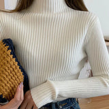 Autumn Winter Pullovers Long Sleeve Casual Warm Basic Knit Jumpers Top Sweater