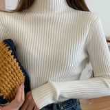 Autumn Winter Pullovers Long Sleeve Casual Warm Basic Knit Jumpers Top Sweater