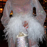 Sexy Fur Feather Mesh See Through Long Sleeve Mini Dress