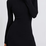 Knitted Ribbed Long Sleeve High Neck Slim Fit Mini Dress