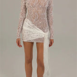 Lace Floral Mesh Sheer Bodycon Mini Dress