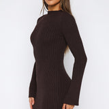 Get On Down Long Sleeve Knit Mini Dress Chocolate
