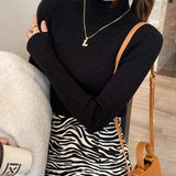 Solid Basic Knitted Turtleneck Long Sleeve Casual Slim Pullover Sweater