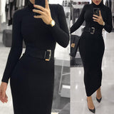Fashion Women Turtleneck Long Sleeve Dress
