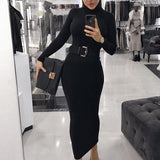 Fashion Women Turtleneck Long Sleeve Dress