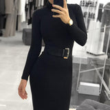 Fashion Women Turtleneck Long Sleeve Dress