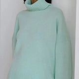 Fashion Solid Turtleneck Long Sleeve Knitted Commute Loose Women Autumn Ladies Sweater