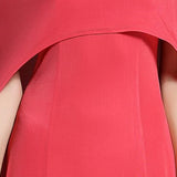 Long A Line Fashion Runway Dresses Maxi Gown