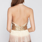 Women's Sexy Evening Prom Fashion Long Runway Designer Dresses