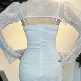 Lace Gothic Retro Mesh Flare Sleeve Witchy Bodycon Goth Cocktail Vintage Dress