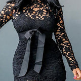 Lace See Through Dress & Lining Sets