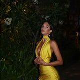 Halter Neck Maxi Dress