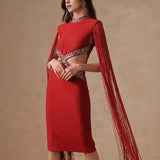 Fringe Sleeve Tassel Sequined Midi Dress
