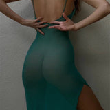 See Through Mesh Long Maxi Dress
