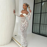 Perspective Lace Hollow Out Bodycon Maxi Dress