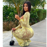 Lace Perspective Long Sleeve Slim Fit Summer Maxi Dress