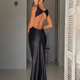 Long Backless Nightclub Sexy Slim Bodycon Spring Summer Maxi Dress