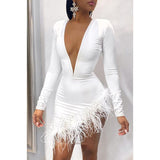 Women Faxu Feather Long Sleeve Dress