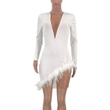 Women Faxu Feather Long Sleeve Dress