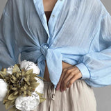 Solid Casual Chic Long Sleeve Blouse