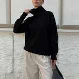 Colorblock Turtleneck Knit Sweater