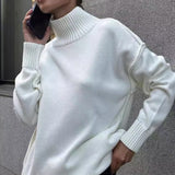 Colorblock Turtleneck Knit Sweater