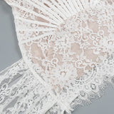 Strapless Lace Corset Sheer Mini Dress
