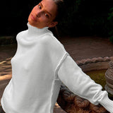 Colorblock Turtleneck Knit Sweater