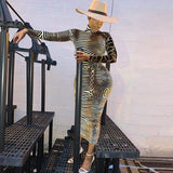 Fashion Women's Long Sleeve Bodycon Dress Sexy Ladies High Neck Party Slim Fitness Leopard Printed Dresses