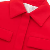Chic Long Sleeve Cropped Blazer