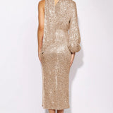 Judith Sequins Halterneck Asymmetry Midi Dress