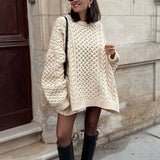Solid Crewneck Lantern Sleeve Loose Sweater